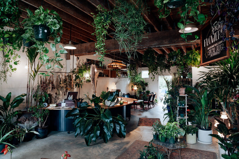 New Order Pickup Location Added: Colibri Flowers and Plants